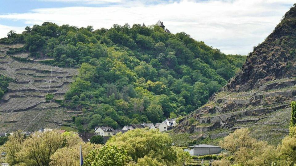 Ferienwohnung Dieblich An Der Mosel Экстерьер фото