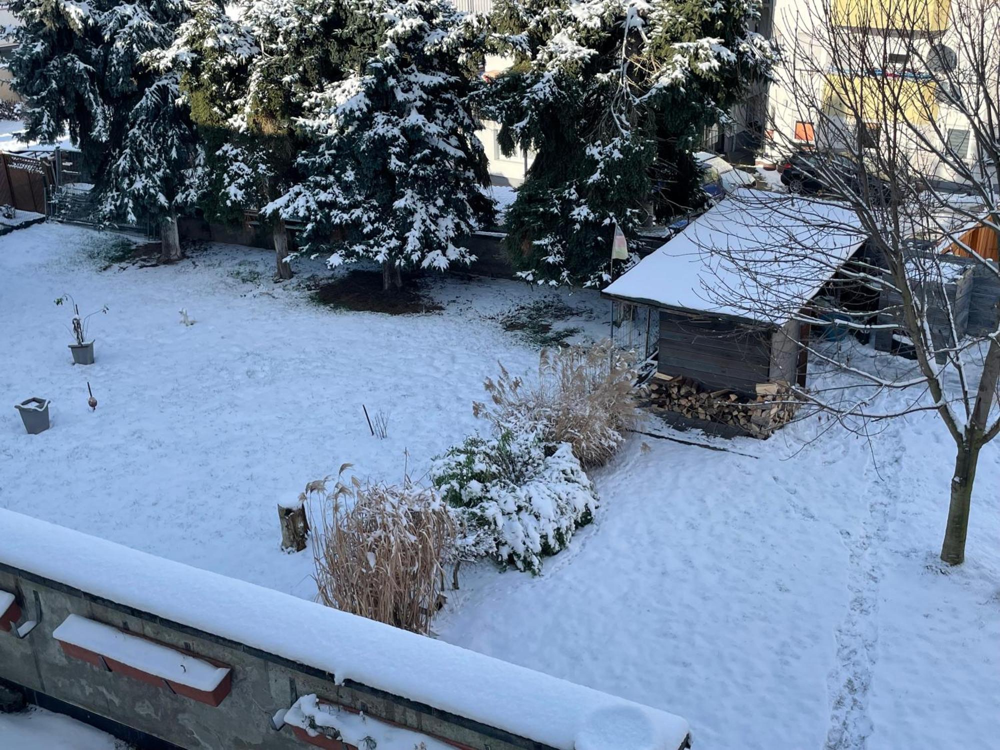 Ferienwohnung Dieblich An Der Mosel Экстерьер фото
